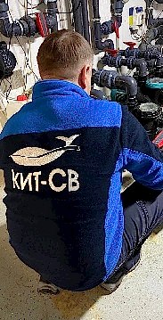 Штатных, компетентных и профессиональных сотрудников с опытом работы более 5 лет