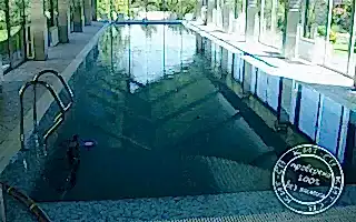 Частный переливной бассейн в Одинцовском